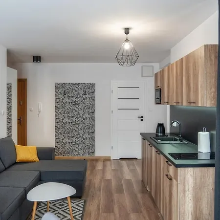 Apartamenty Sun & Snow Resorts D Bialka Tatrzanska Z Sauna Exterior photo